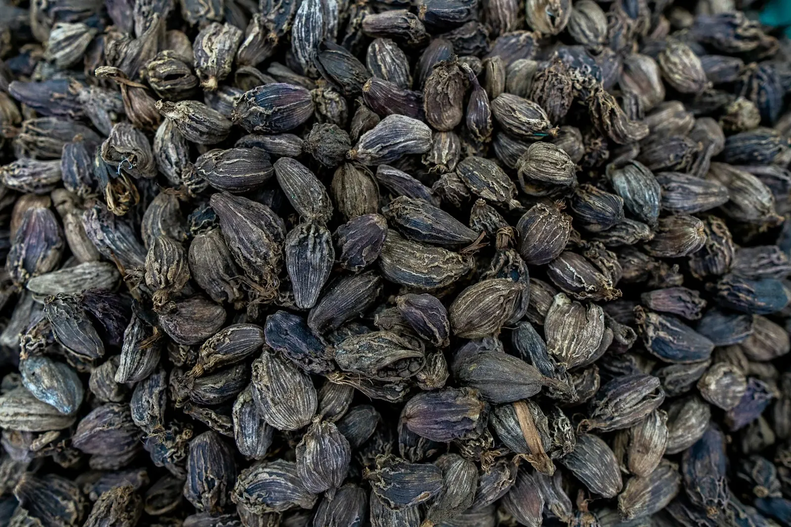 Dried black cardamom pods in close-up