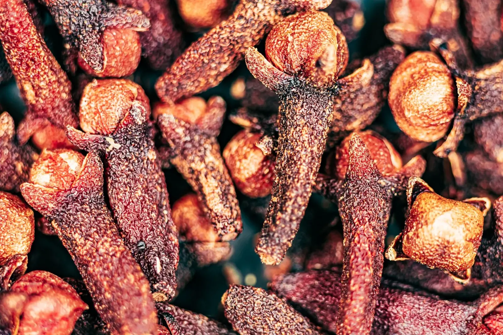 Dried turmeric fingers in close-up