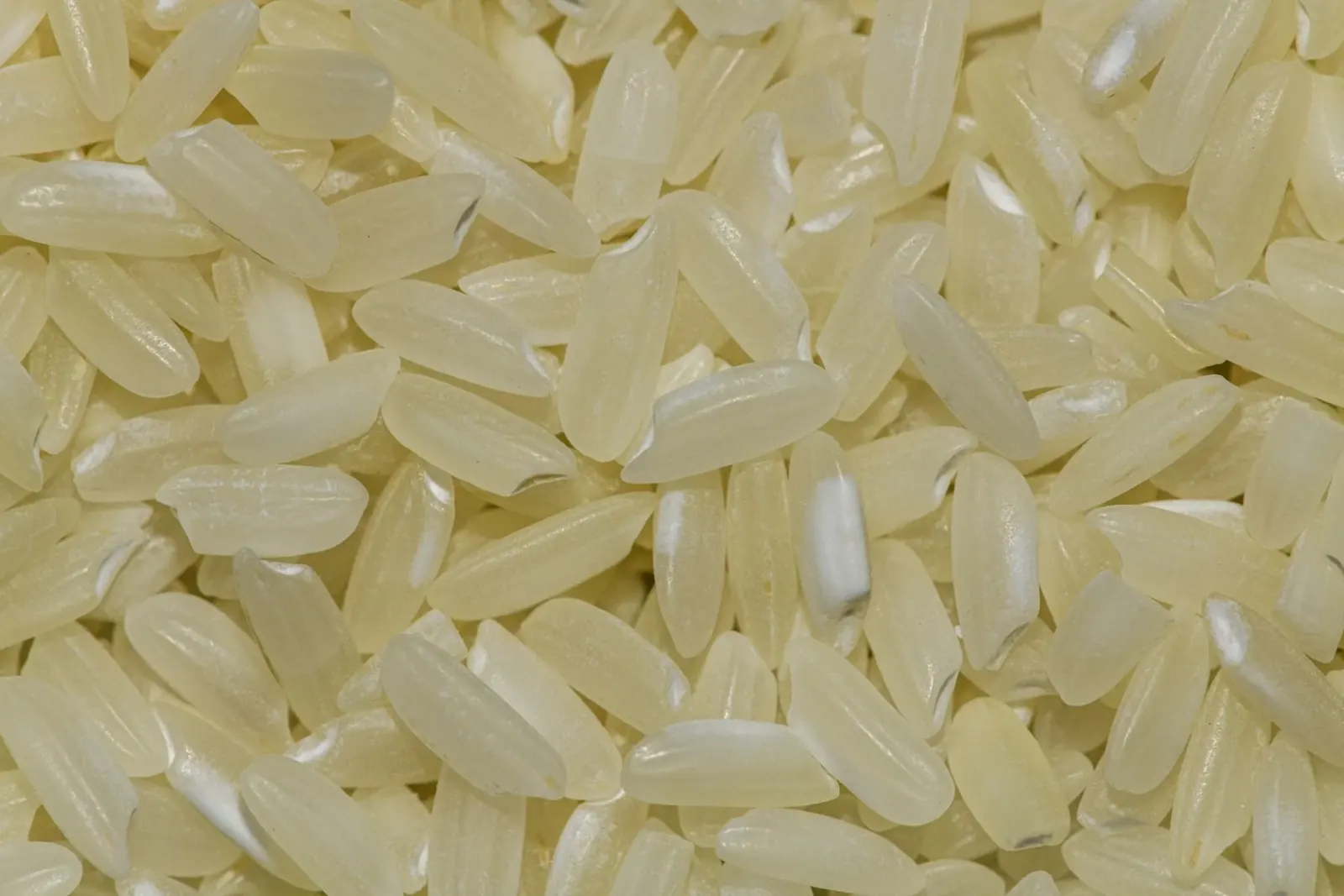 Close-up of premium uncooked rice grains