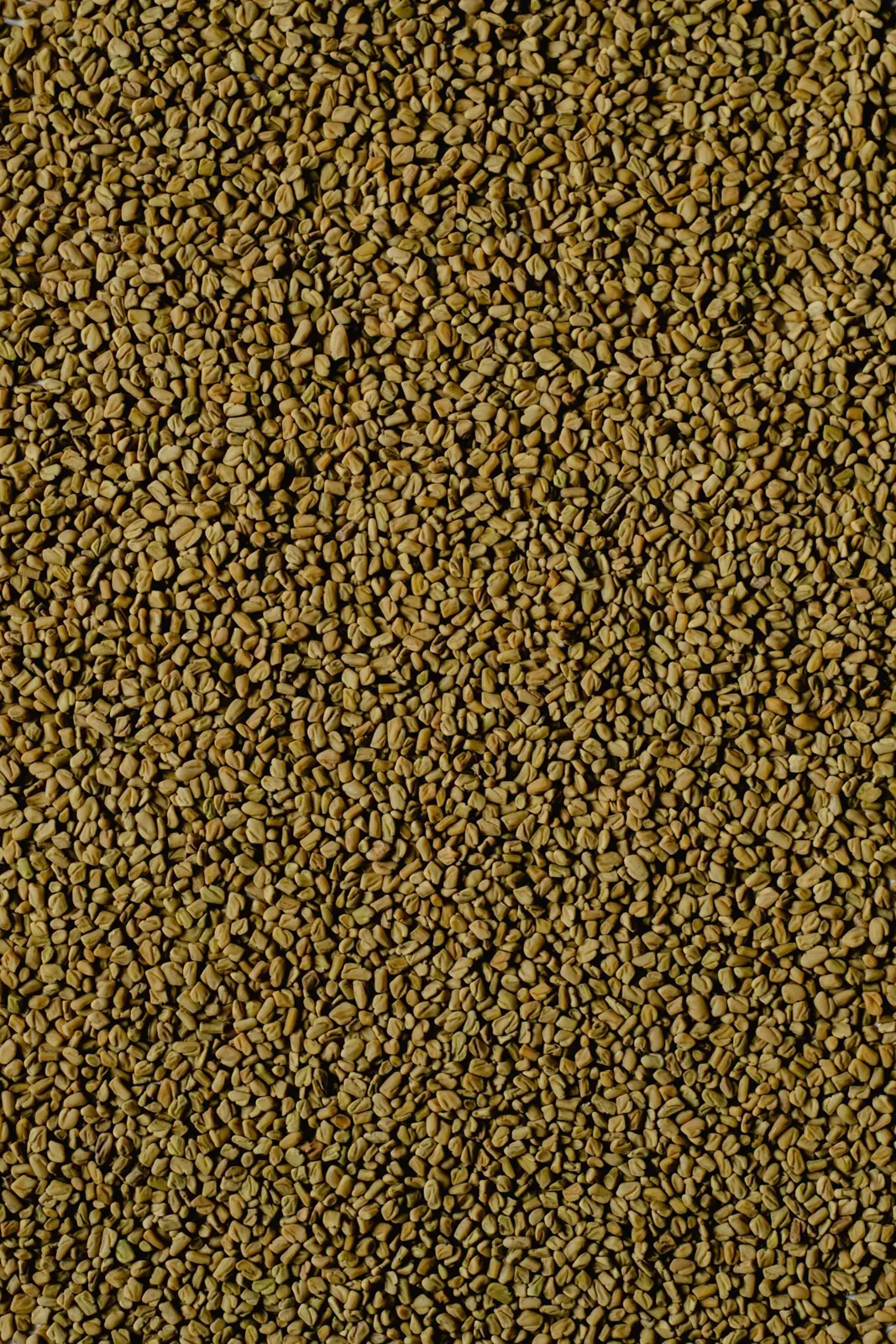 Assorted whole seeds displayed in bowls at a market