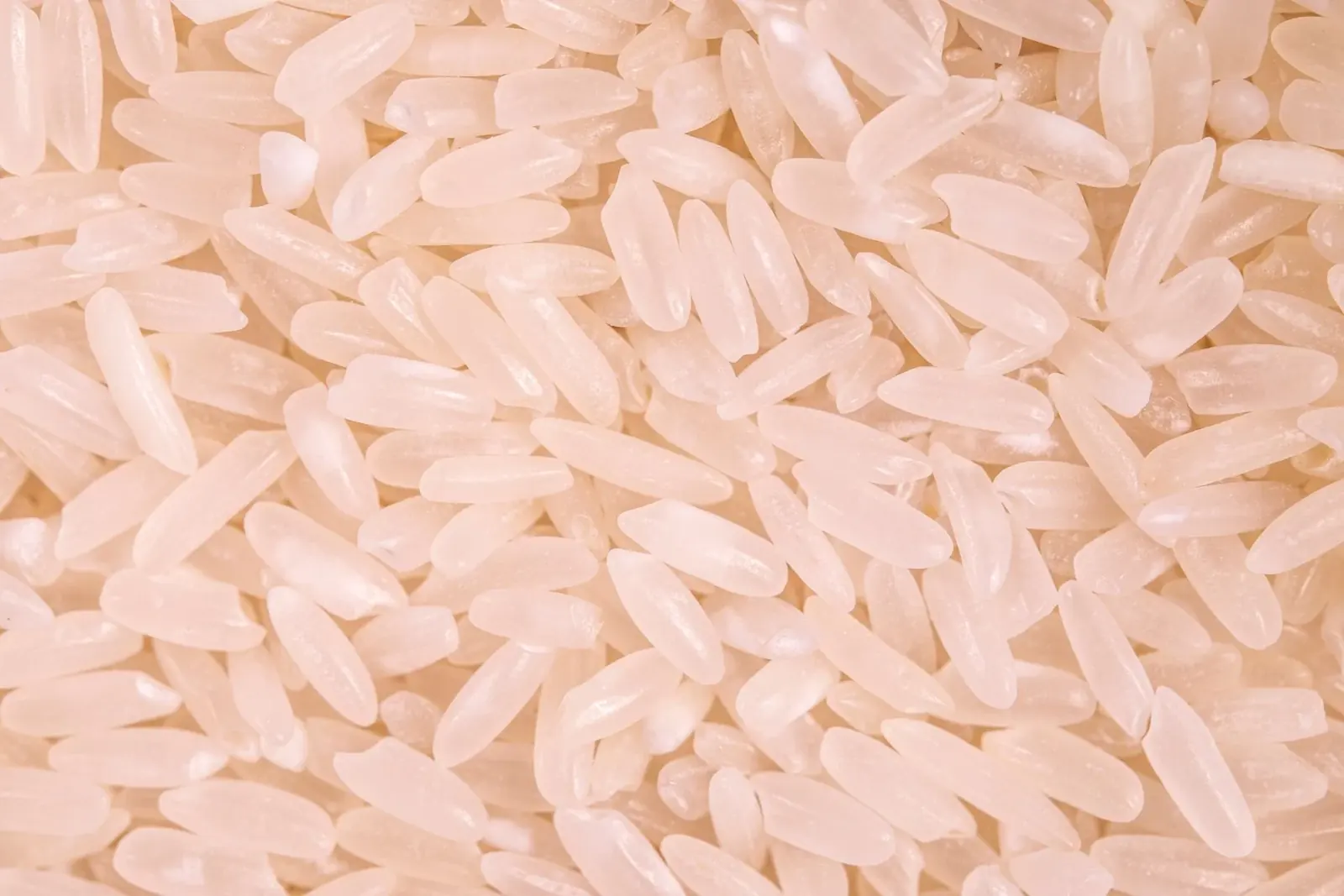 Close-up of uncooked rice grains