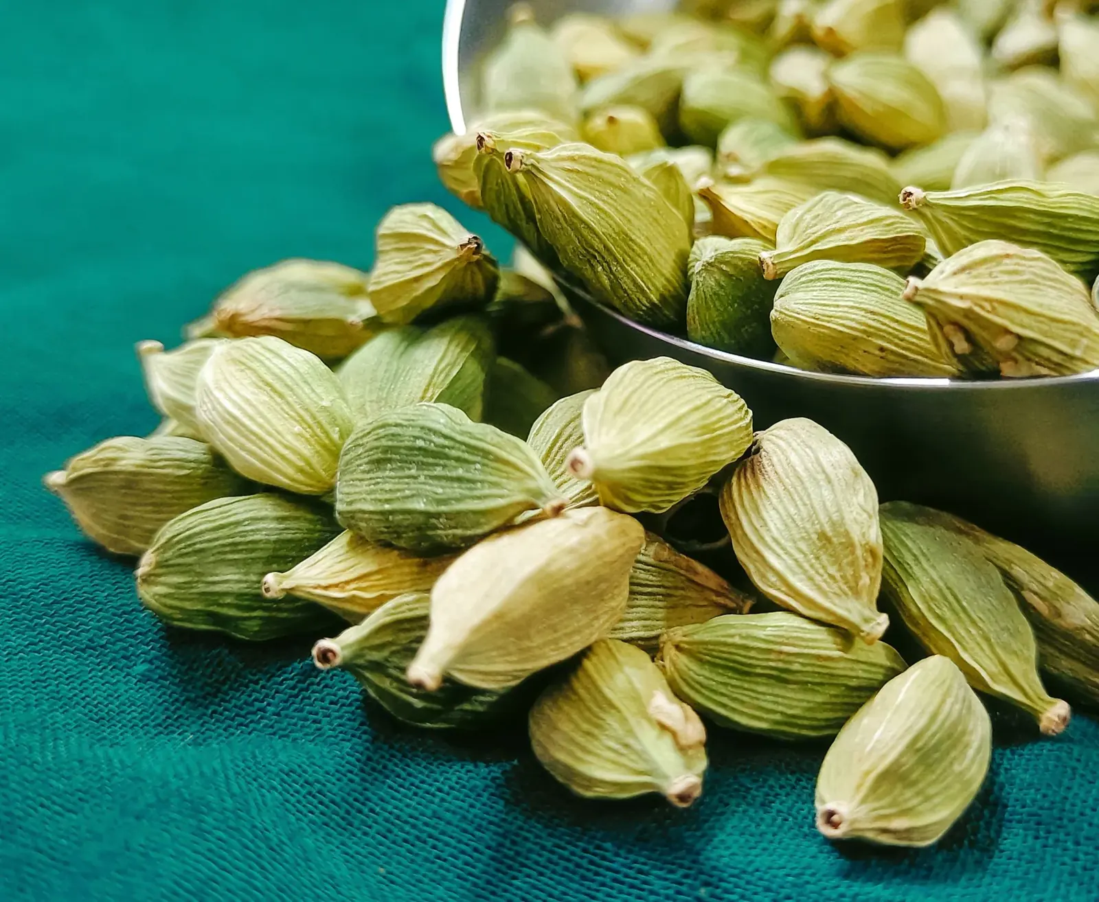 Fresh green cardamom pods in close-up