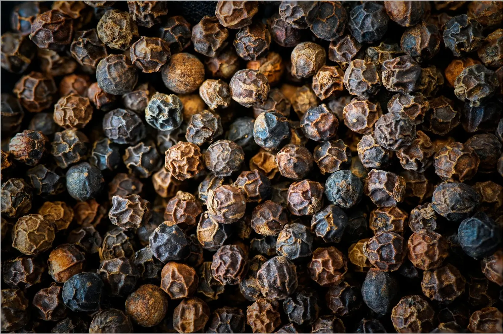 Whole black peppercorns in rich close-up detail